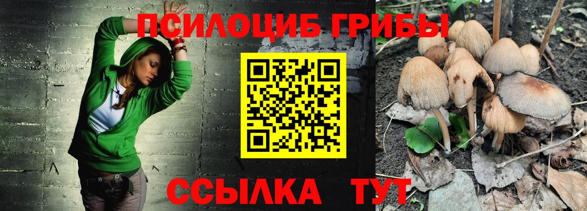 Псилоцибиновые грибы ЛСД  Галлюциногенные грибы Magic Shrooms  Новотроицк  Вход с VPN 