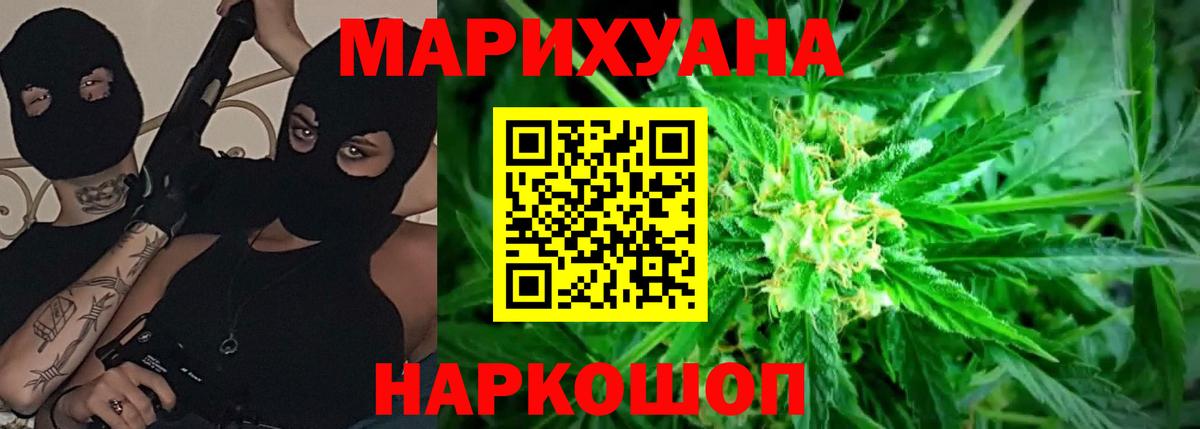 Конопля план Новотроицк