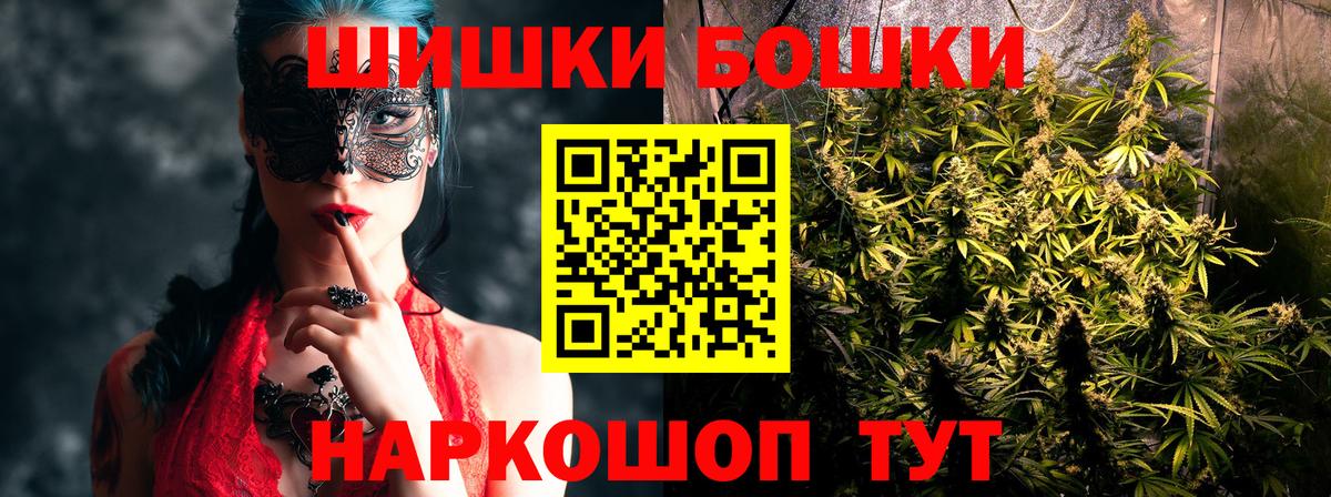 Конопля семена  Бошки Шишки ГИДРОПОН  Новотроицк  Бошки Шишки White Widow  Вход с VPN 